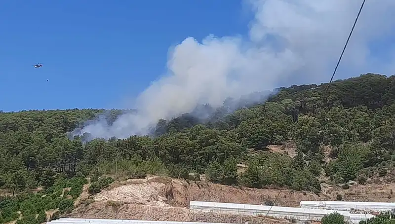 Kumluca’da Yangın Alarmı: Ormanların Geleceği Tehlikede Mi?
