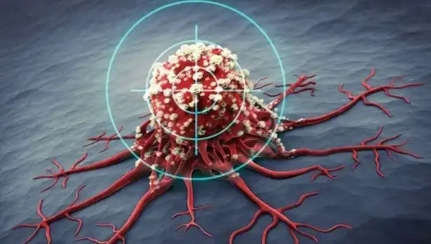 Prostat Kanseriyle Mücadelede Etkili 6 Besin: Bilimsel Bulgular
