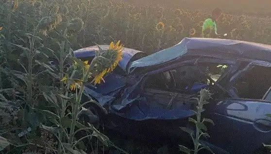 Otomobil Ayçiçeği Tarlasına Devrildi: Kaza Sonrası Hüzünlü Manzara