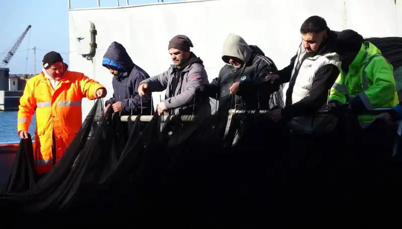 Hamsi Avında Şok Gelişme: Tekneler Erken Paydos Ediyor!