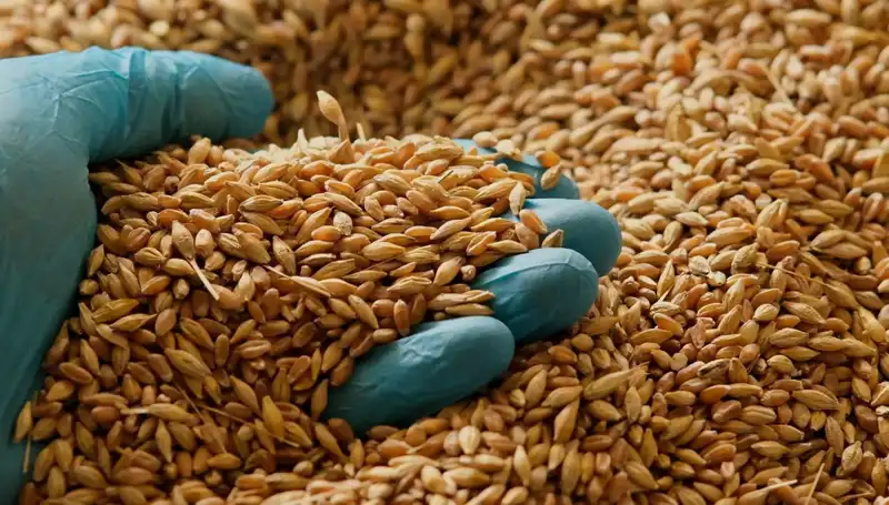 Kalp Hastalığı Riskini Azaltan Beslenme İpuçları
