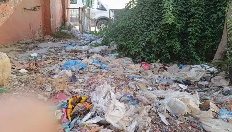 Evin Bahçesinden Kamyon Dolu Çöp Çıktı: Temizlikte Şaşırtan Durum