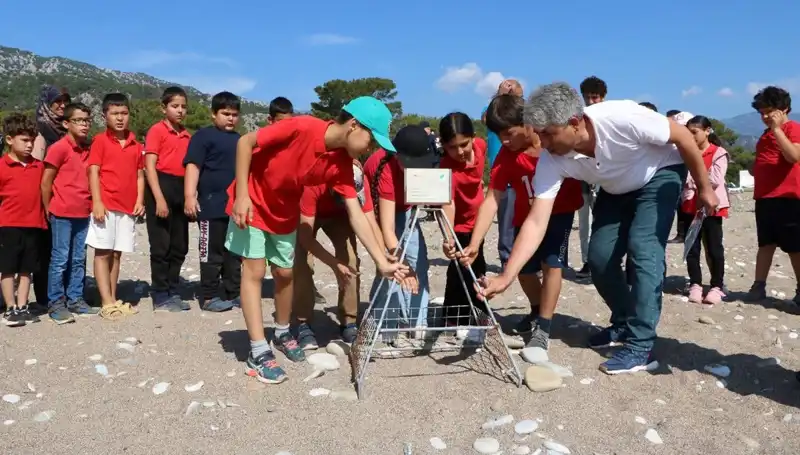 Kemer'de Caretta Caretta Yasakları Başladı: Doğanın Korunmasına Adım