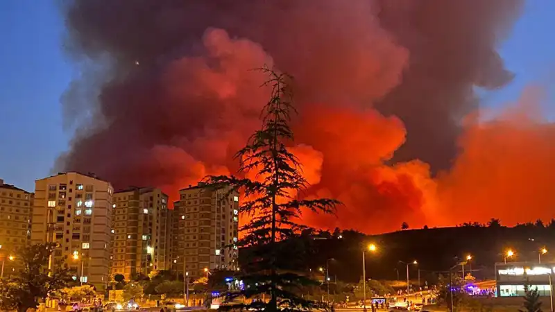 Bursa’da Yangınlar Artıyor: Şehrin Ekosistemi Tehlikede mi?
