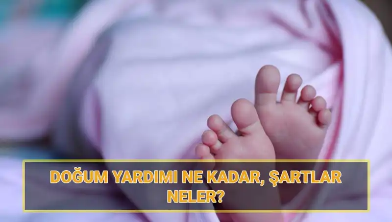 2025 Çocuk Parası Başvuru Süreci: Detaylar ve Şartlar Açıklandı!