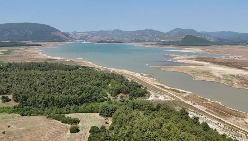 İzmir Hisse Senetlerinde Korkutan Düşüş: Yüzde 50 Geriledi!