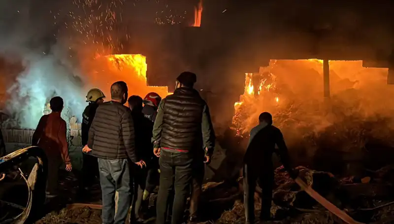 Bolu'da Karnı Aç Hayvanlar İçin Söndürüldü Yangın: Uzmanlardan Uyarılar!