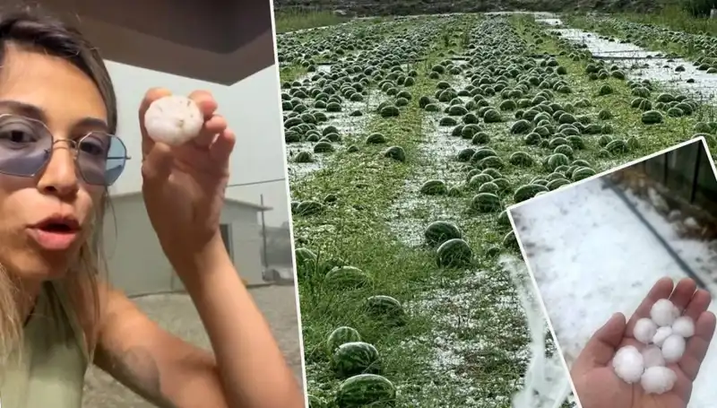 Antalya'da Şok Eden Doğa Olayı: Dolu ve Hortum Hayatı Olumsuz Etkiledi