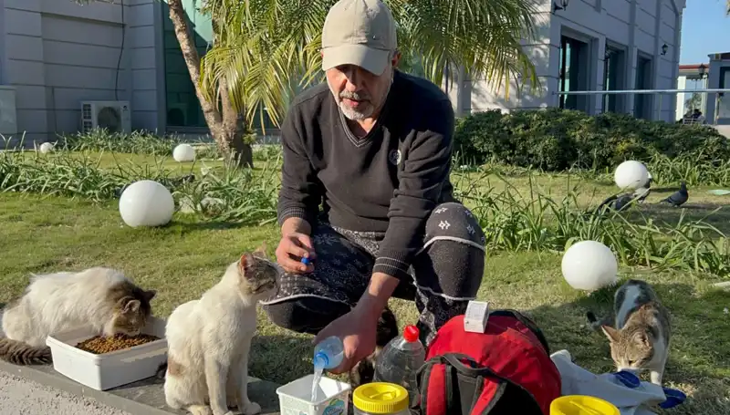 59 Yaşındaki Adamın Her Gün 8 Kilometre Yürümesi Sepetini Doldurdu!