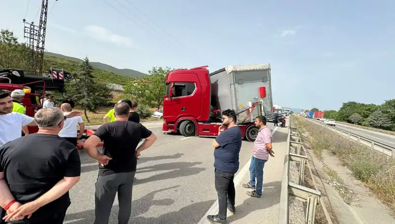 Seyir Halindeyken Arı Sokmasıyla Trafik Felç Oldu: O Anlar Kayıtlara Ge geçti