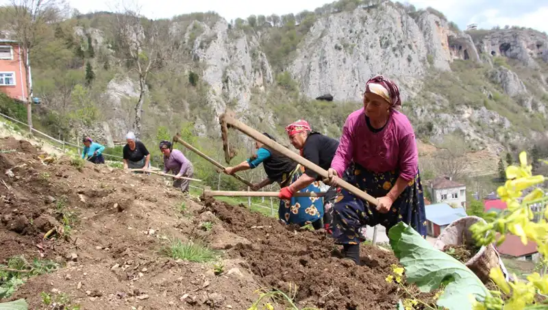 Zorlu Mesai Başladı: Hisselerde Hızla Yükselen Zararlar ve Fırsatlar