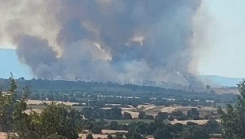 Komşu Ülkede Çıkan Orman Yangını Edirne'yi Etkiledi