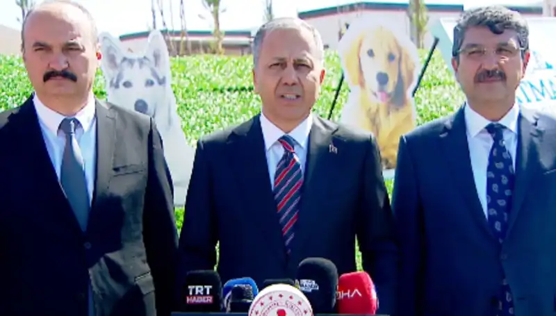 Sokak Köpekleri Tartışması: İçişleri Bakanlığı'ndan 81 İle Müfettiş Gönderildi