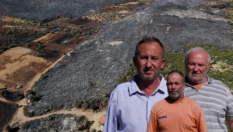 Çeşme Yangını: Yürek Burkan Acı Bilanço ve Kayıplar