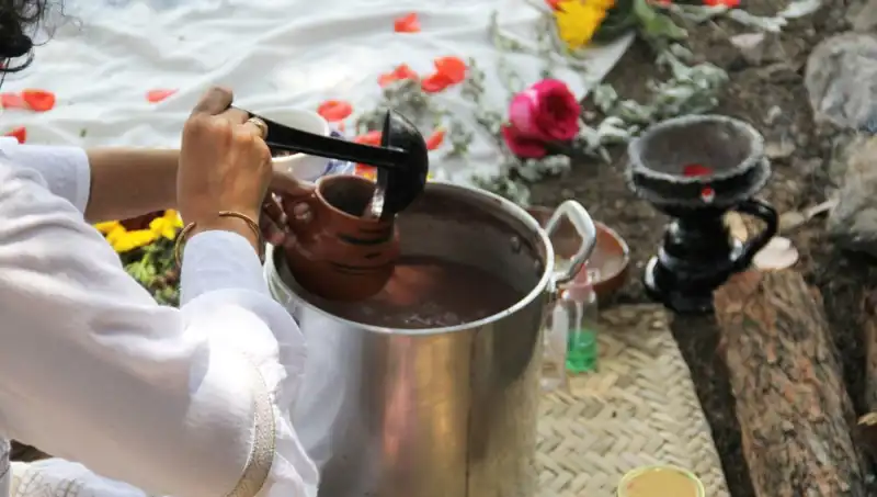 Ayahuasca Nedir? Yasal Durumu ve Yatırım Olanakları