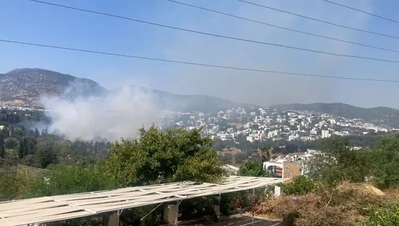 Muğla’da Orman Yangınları Kontrole Alındı: Son Durum ve Gelişmeler
