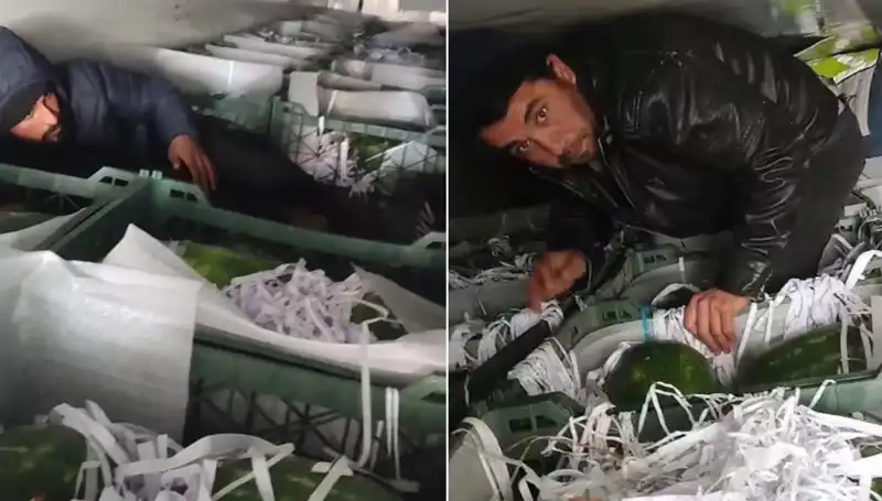 Karpuzların Arasından Göçmenler Çıktı: Sınır Güvenliği Tehdit Altında mı?
