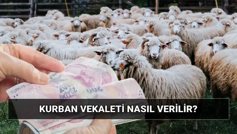 Vekaletle Kurban Kesmek: Diyanet’in 2025 Yılı Bedeli ve Süreçleri
