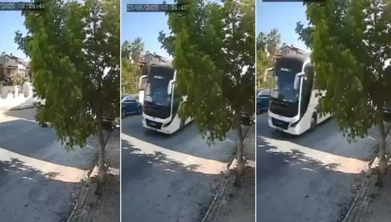 Yolda Yatan Köpeği Ezip Giden Sürücü, Hayvanseverlerin Tepkisini Çekti!