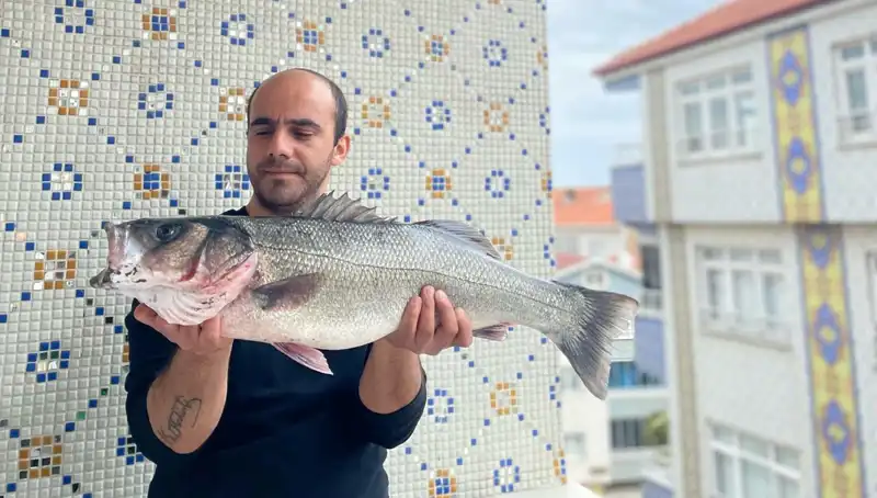 Türkiye'nin Karadeniz'inde 7,5 Kiloluk Dev Levrek Yakalandı!