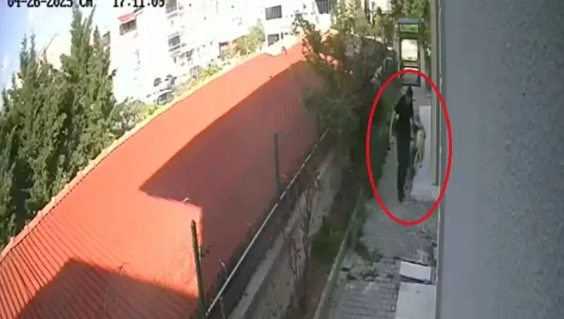 Hayvanseverleri Şok Eden Olay: Doktor Köpekleri Parçaladı