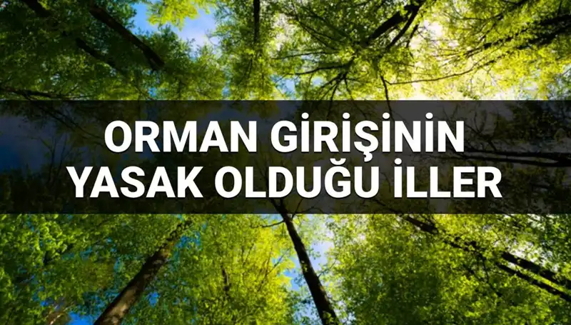 2025'te Hangi İllerde Ormana Girmek Yasak Olacak?