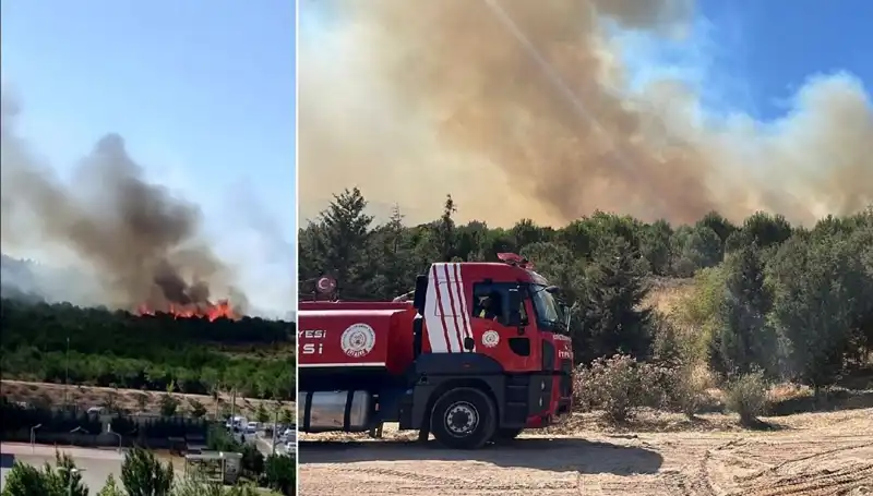 Gebze'de Orman Yangını: Yangının Ardında Yatan Sebepler ve Etkiler