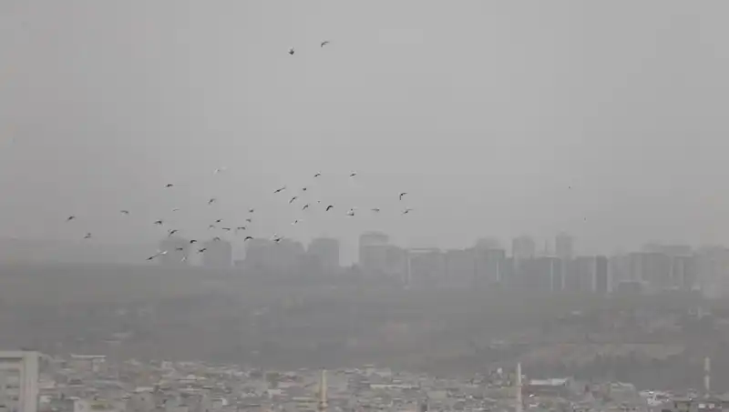Şanlıurfa'da Toz Fırtınası: Hisse Senetleri Üzerindeki Etkileri Neler?